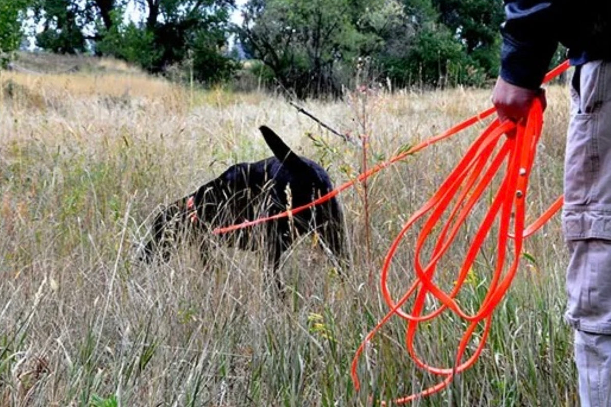 Freedom and control on the tracking leash Handmade in Germany