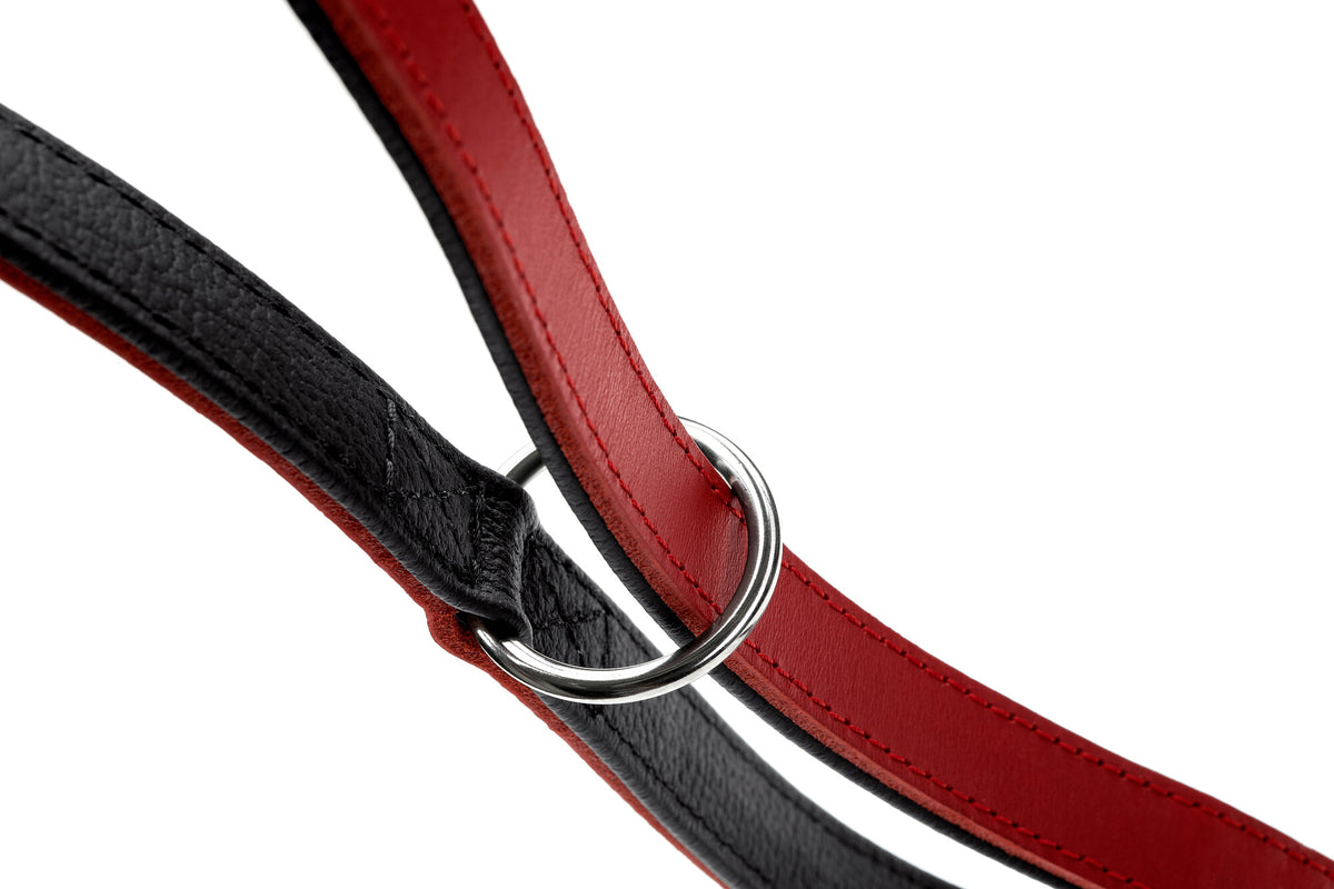 Adjustable leash LOVE Handmade in Germany Hunter Pet Store