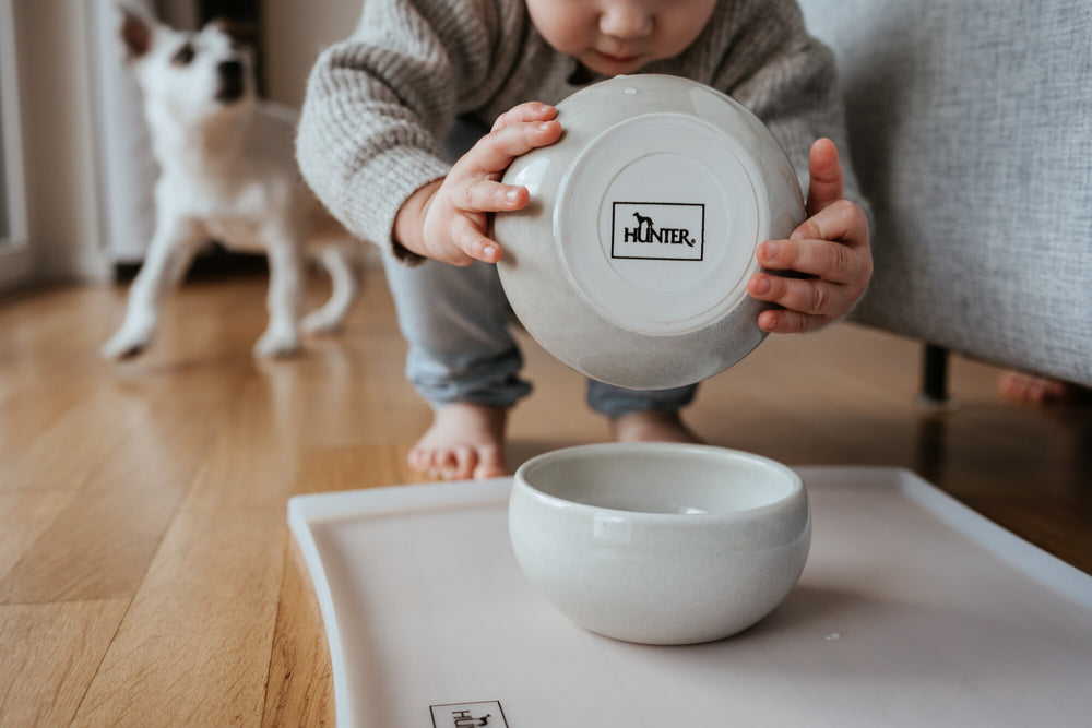 LISBOA Bowl - Hunter Pet Store -Food or drinking bowl made of sturdy ceramic -Iridescent play of colors makes each bowl unique -High own weight ensures a safe stand -Anti-slip silicone rim on the base -Durable and scratch resistant -Easy to clean and dishwasher safe -Food-safe