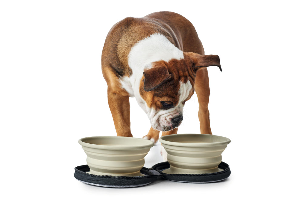 LIST Travel Bowls - Hunter Pet Store -foldable food and drink bowl with pocket and zipper -ideal for traveling and on the road -silicone material -small packing size -easy to clean and dishwasher-safe