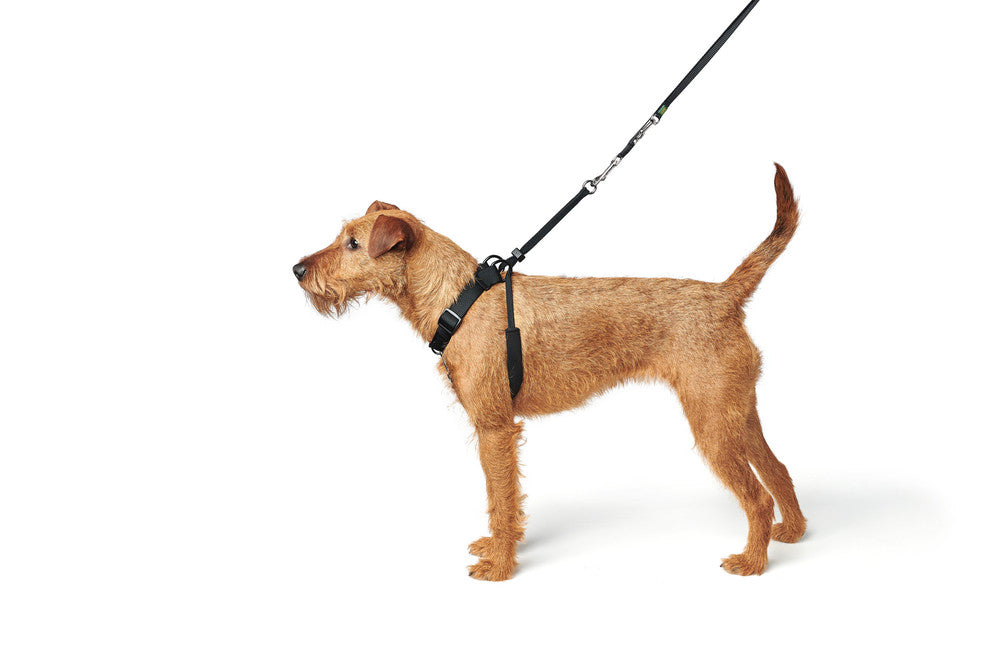 SIDE-BY-SIDE Harness - Hunter Pet Store -Ideal training harness recommended by many dog obedience school -Designed to help dogs learn to walk comfortably beside their owners -Particularly beneficial for puppies during training sessions - Facilitates close and controlled walking experiences