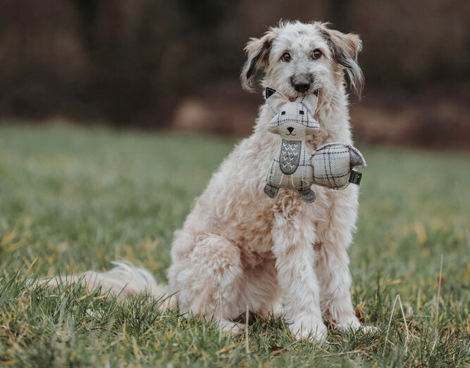 Dog toy BILLUND Fox Handmade in Germany Hunter Pet Store