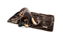 Load image into Gallery viewer, Dog blanket KONSTANZ