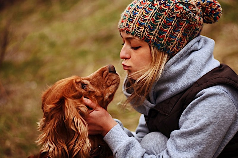 What to consider when adopting a rescue dog?
