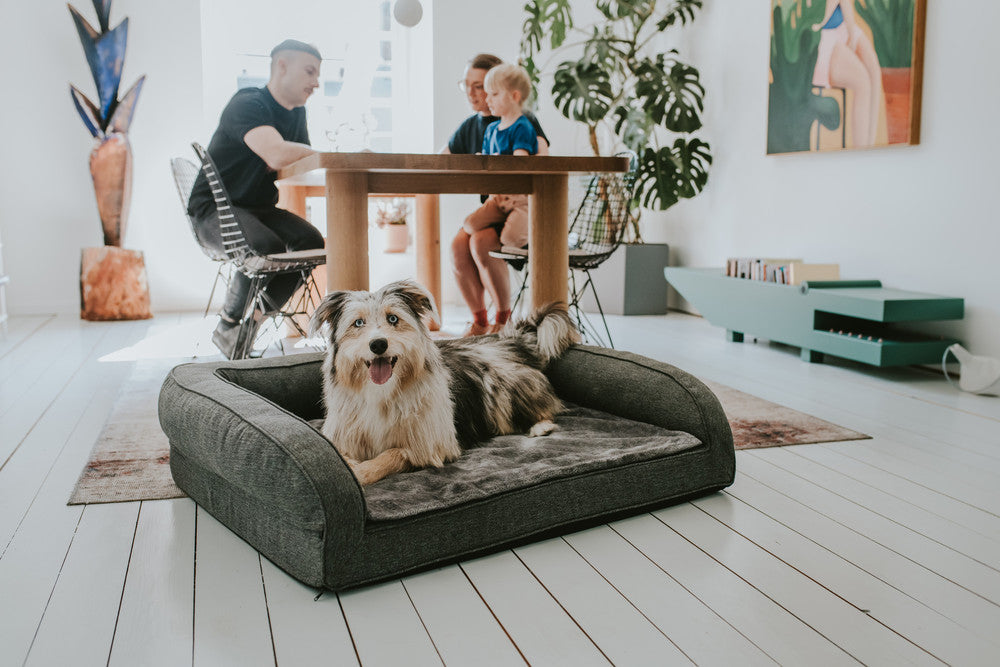 Family at dining room table with dog on the floor in a dog bed