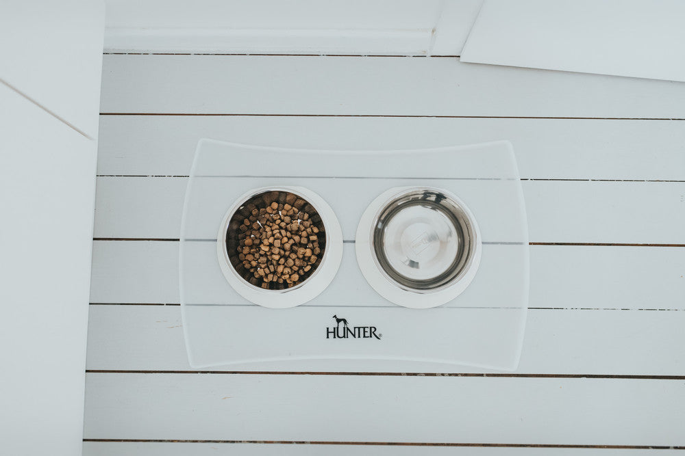 Dog bowl pair with food and water