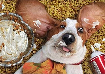 Happy Thanksgiving from HUNTER!