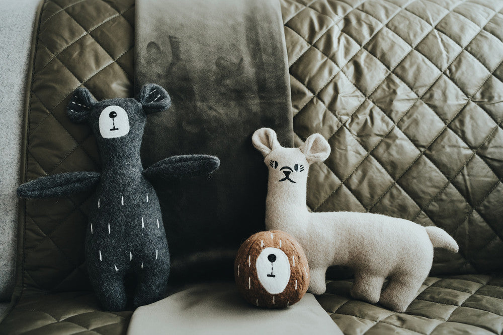Recycled dog toys displayed