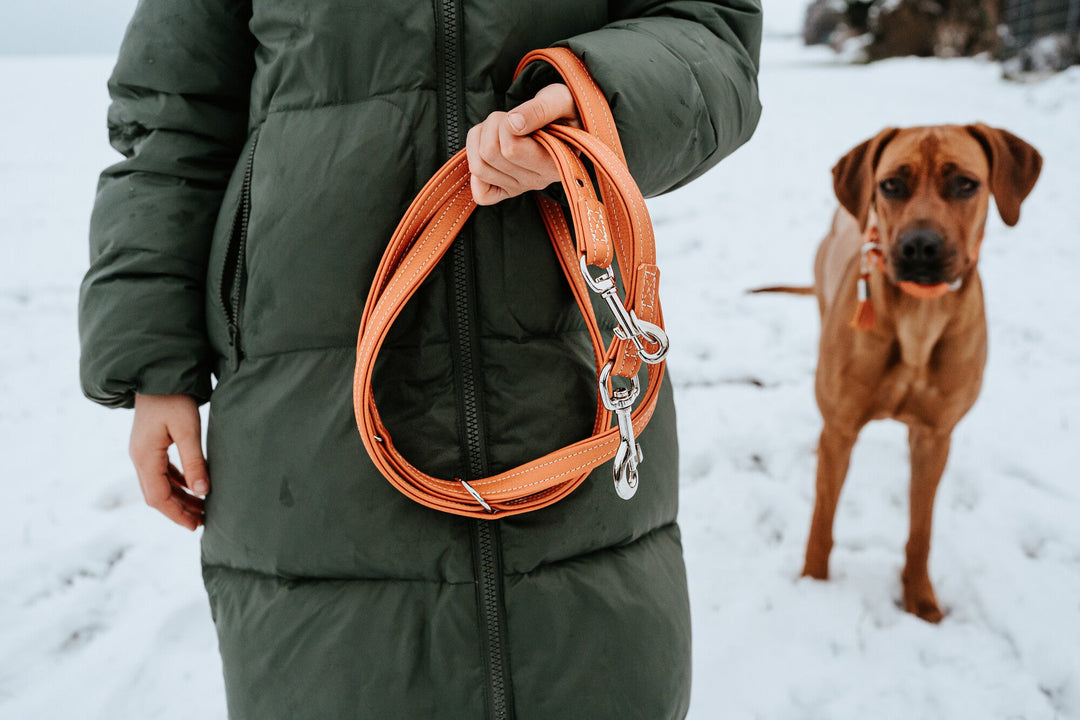 Why Leather Leashes Are Best for Large Breeds