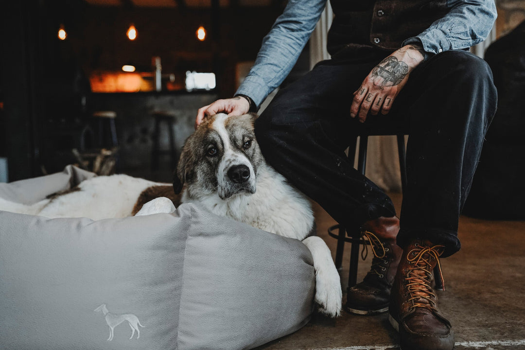 The Perfect Gift for a Dog Lover