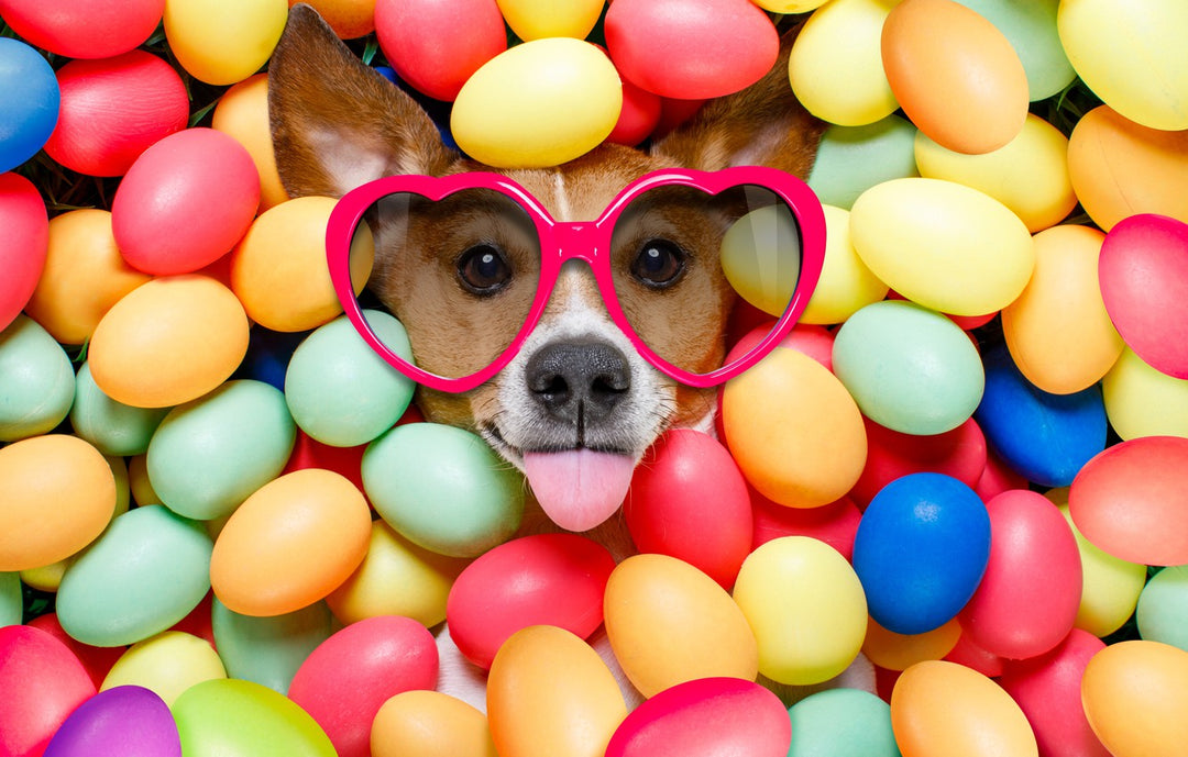 Happy Easter to you and your beloved ones! 🐰🐣🌷