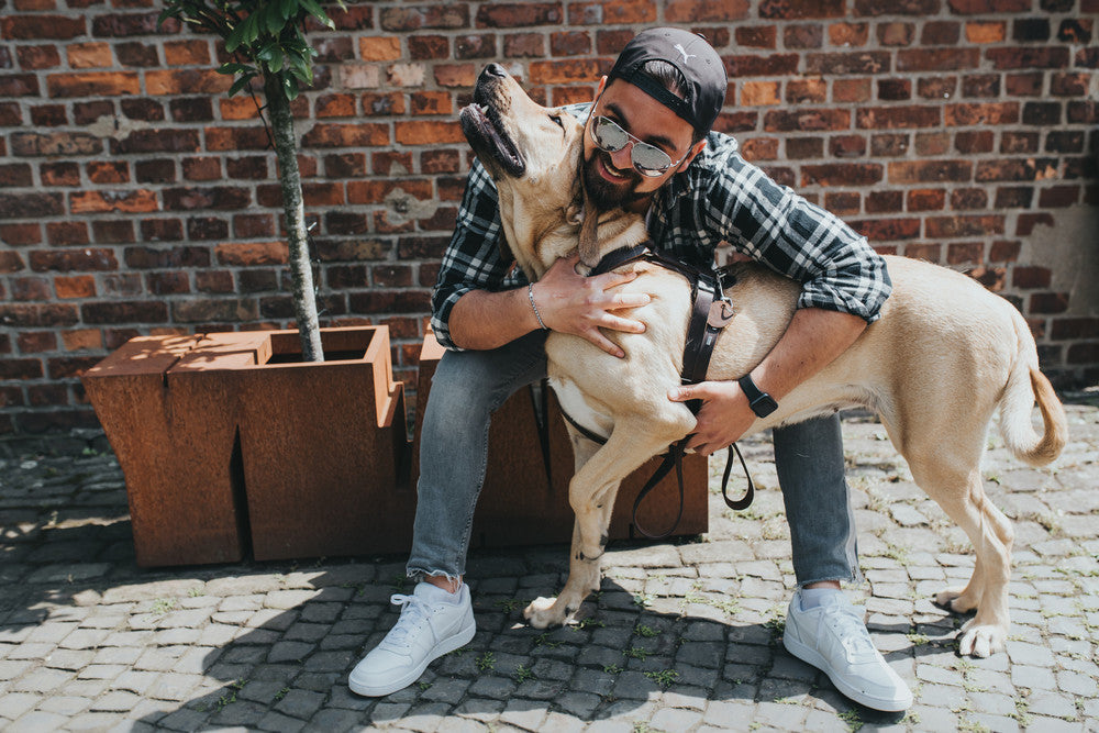 Man sitting outside hugging his excited dog 