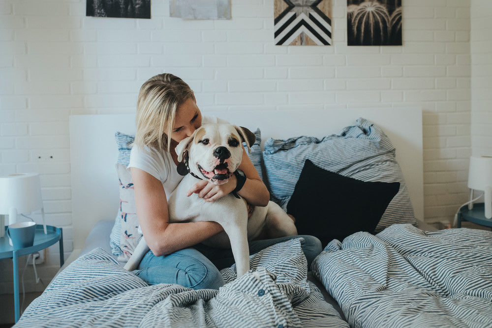 dog being hugged by woman