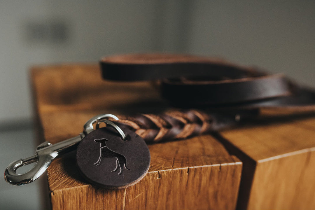 Stylish Dog Accessories That Last