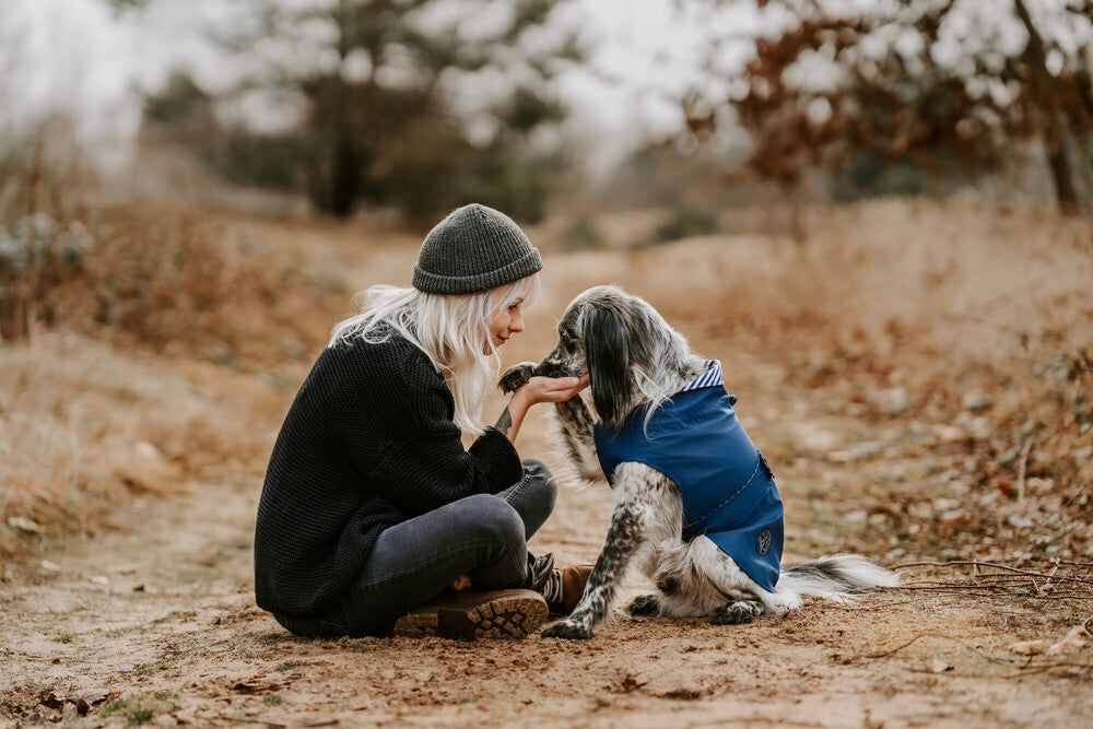 5 Basic commands for your new puppy