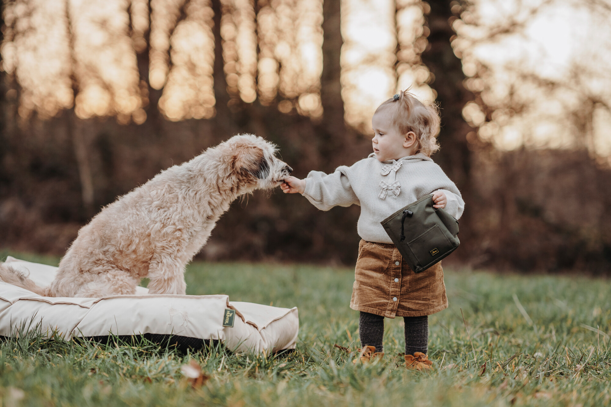 baby feeding dog a treat