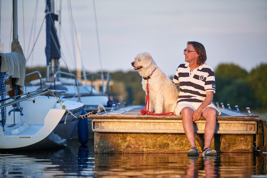 dog on boat dock with man at sun down