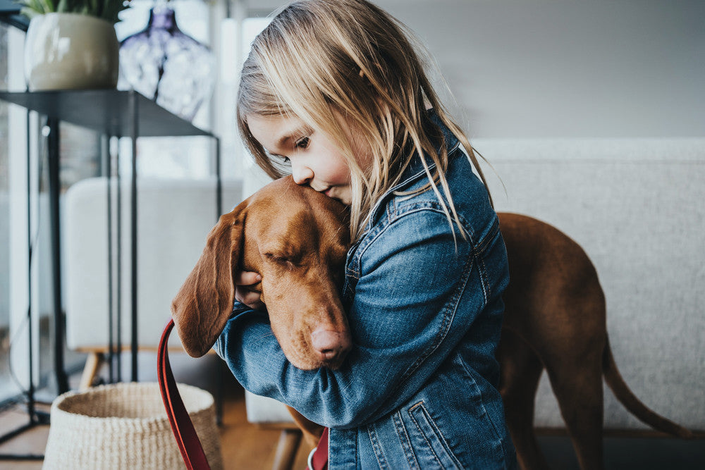 girl hugging vizsla