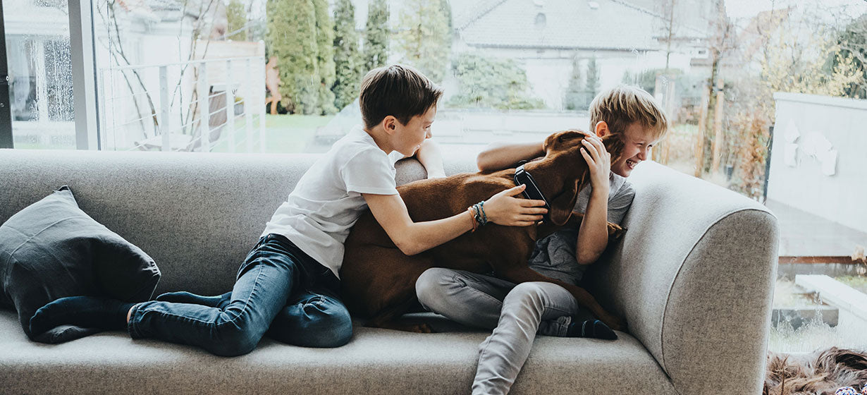 boys laughing with dog