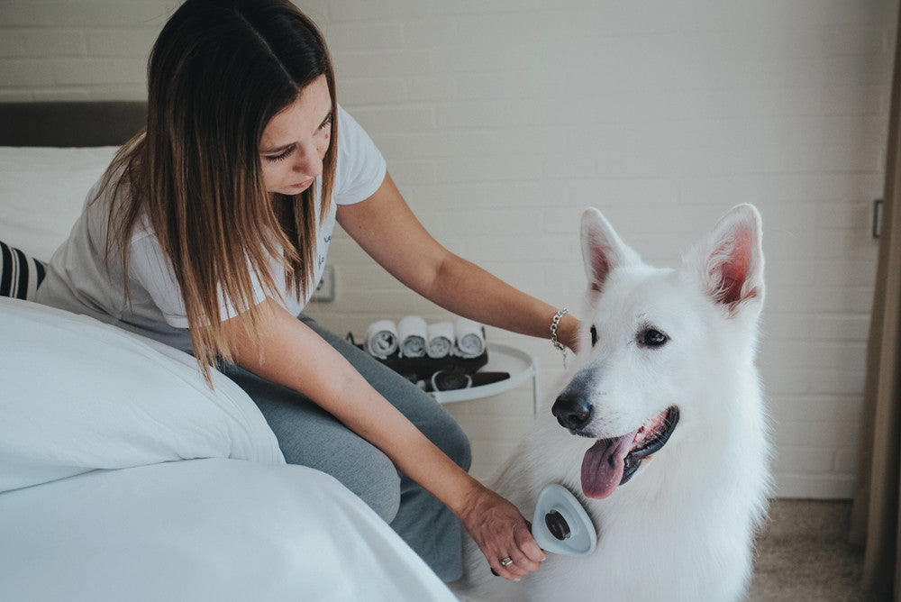 Self-Cleaning Slicker Brush SPA