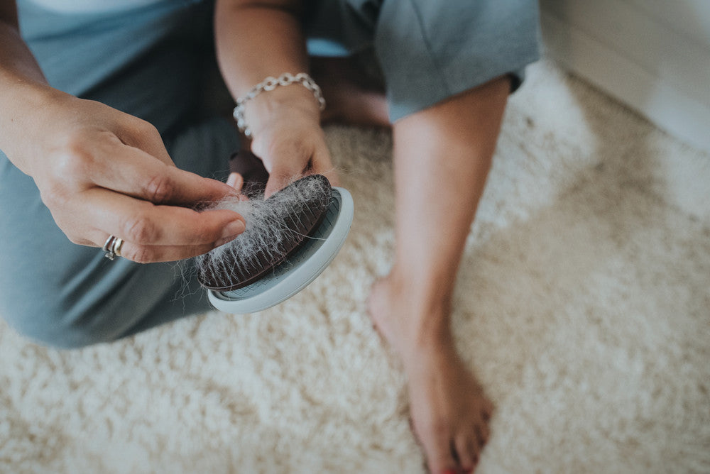 Self-Cleaning Slicker Brush SPA