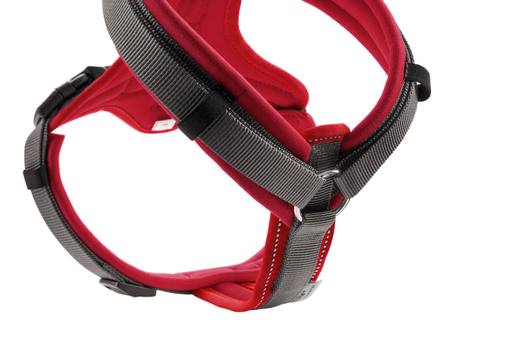 MALDON Harness - Hunter Pet Store -made of especially soft cow nappa leather -particularly stable stop ring -stepless adjustable -fur-friendly due to rounded processing -tear-resistant nylon insert -made in Germany