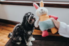 Load image into Gallery viewer, Dog toy MULI Rabbit