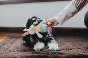 Dog toy MULI Rabbit