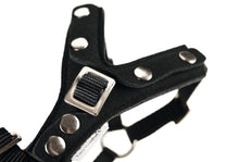 Load image into Gallery viewer, Car safety harness EASY COMFORT