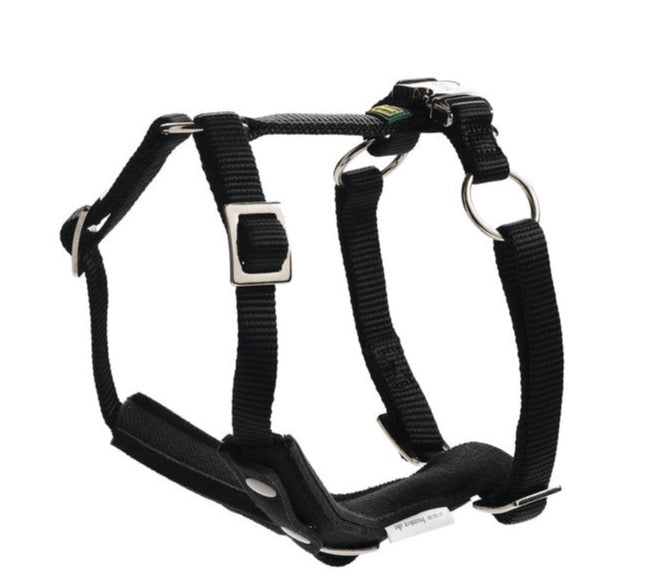 Car Safety Harness EASY COMFORT - Hunter Pet Store -made from high-quality nylon material -removable protective pad in the chest area -loop enables attachment to car safety belt -step-less 5-fold adjustable thanks to slider