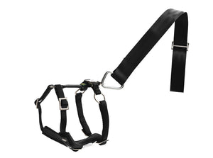 Car safety harness EASY COMFORT