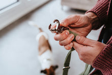 Load image into Gallery viewer, Adjustable leash INARI