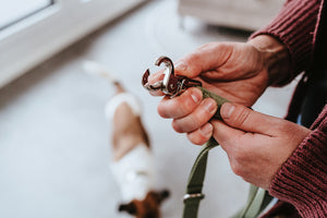 Adjustable leash INARI
