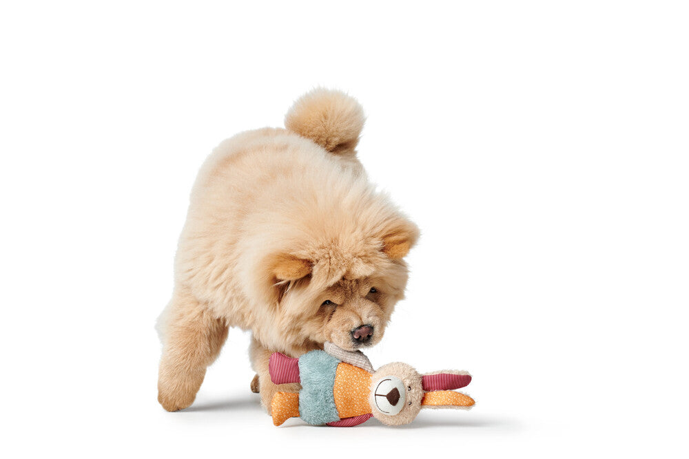 MULI Rabbit Dog Toy - Hunter Pet Store -ideal for puppies and dogs that like to cuddle -with squeaker -washable at 90 °F -7.09 in