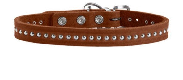 AALBORG Style Collar - Hunter Pet Store -heavily greased full cowhide -durable and hard wearing -with stylish rivet trim -with leather key ring -made in Germany
