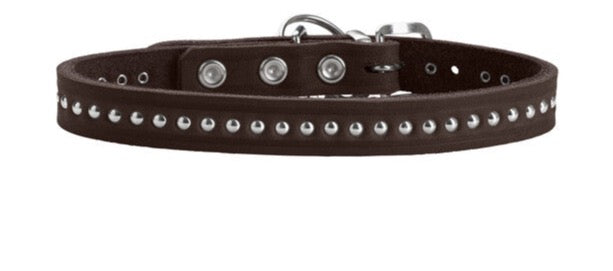 AALBORG Style Collar - Hunter Pet Store -heavily greased full cowhide -durable and hard wearing -with stylish rivet trim -with leather key ring -made in Germany