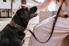Load image into Gallery viewer, Collar CANADIAN UP