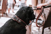 Load image into Gallery viewer, Collar CANADIAN UP