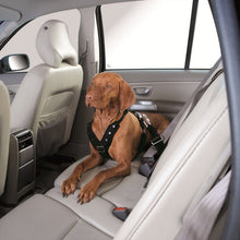 Load image into Gallery viewer, Car safety harness EASY COMFORT