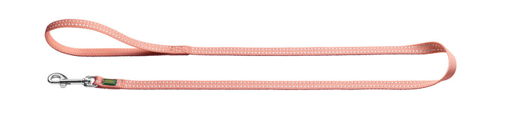 Puppy ( 12-20 weeks ) - Hunter Pet Store This package includes: DIVO UP harness TRIPOLI leash LOPPA bed (24" charcoal or white) Double bowl set (28.7 fl oz) KONG puppy toy Select the ideal package for your new puppy with various color options and sizes suited to their age. Get ready for your new best friend with high-quality products specifically chosen for a French Bulldog puppy.