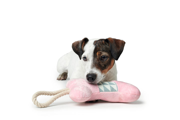 SALIMA Bone Dog toy - Hunter Pet Store -polyester -with squeaker -with a rope for throwing and playing tug-o-war -soft and cuddly -hand wash -6.69 in