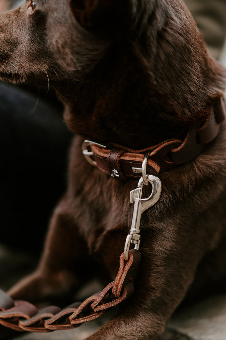 Solid EDUCATION Chain Leash - Hunter Pet Store -leash for leisure activities (not for training purposes) -with handmade and interlinked leather elements -special design provides pleasant, light tug damping