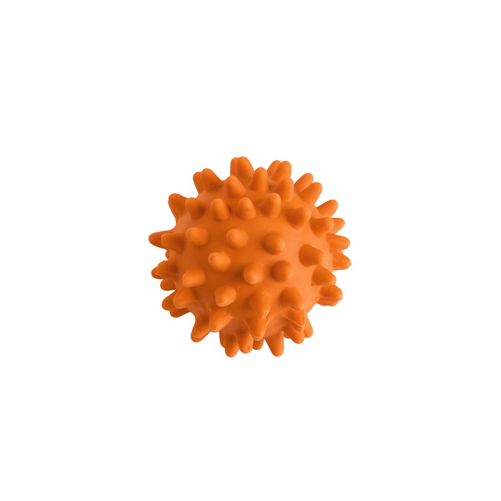 HEDGEHOG Ball Dog Toy - Hunter Pet Store -latex toy -with squeaker -sorted colors