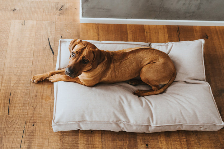 INARI Cushion (Copy) - Hunter Pet Store -Comfortable dog cushion in soft colors -Pleasantly soft to the touch and pleasant to hold -Generously padded -Anti-slip underside -Zippered removable cover washable at 140 °F