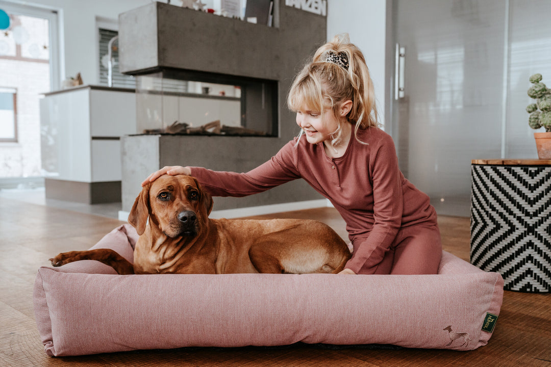 INARI Sofa - Hunter Pet Store -Cozy dog sofa in soft colors -Pleasantly soft to the touch and feel -Generously upholstered with high edge -Anti-slip underside -Zippered removable cover washable at 140 °F