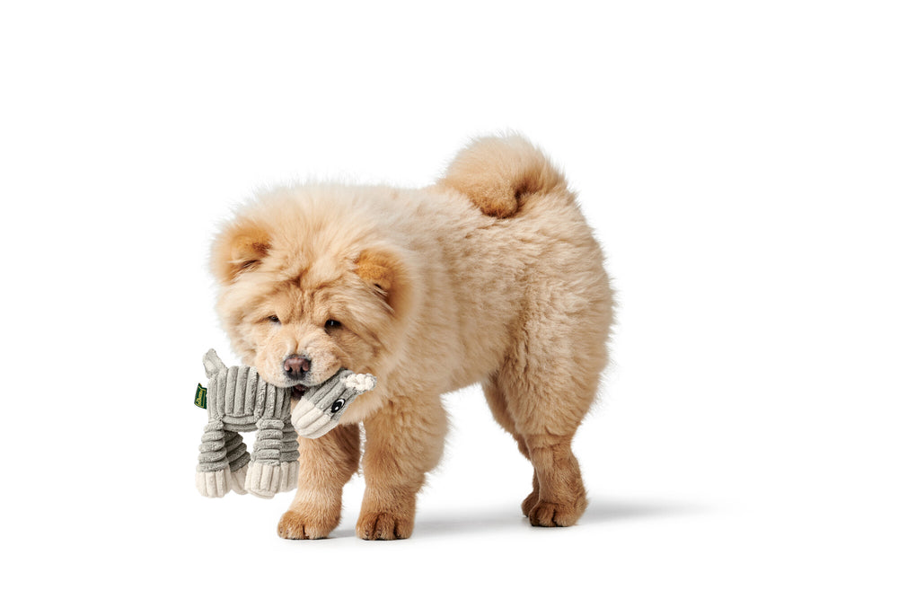 HUGGLY Blanket Donkey Dog toy - Hunter Pet Store -dog toy to cuddle and love -suitable for small and medium-sized dogs -cute design -with tooth-caring rope -without squeaker -washable at 90 °F -9.84 in