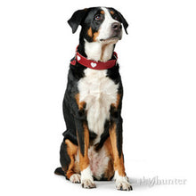 Load image into Gallery viewer, Collar LOVE