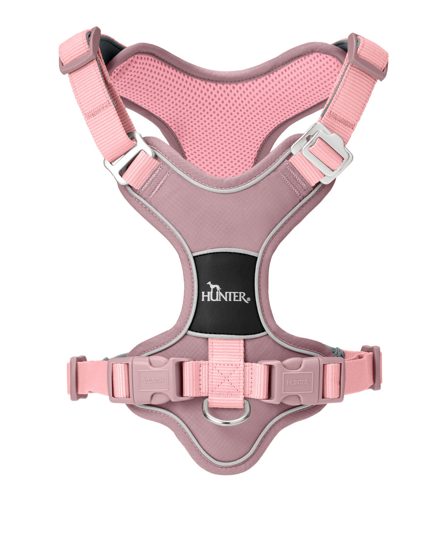 Puppy ( 12-20 weeks ) - Hunter Pet Store This package includes: DIVO UP harness TRIPOLI leash LOPPA bed (24" charcoal or white) Double bowl set (28.7 fl oz) KONG puppy toy Select the ideal package for your new puppy with various color options and sizes suited to their age. Get ready for your new best friend with high-quality products specifically chosen for a French Bulldog puppy.