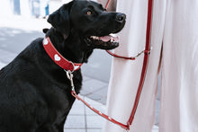 Load image into Gallery viewer, Adjustable leash LOVE