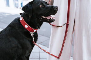 Adjustable leash LOVE